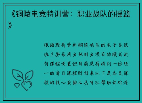 《铜陵电竞特训营：职业战队的摇篮》